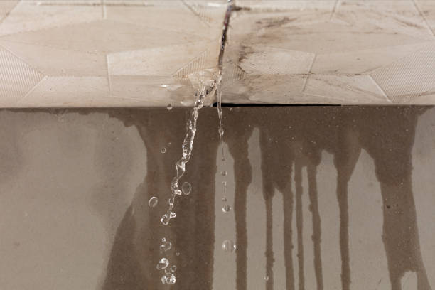 Professional Structural Drying technician working in Rosenberg, TX